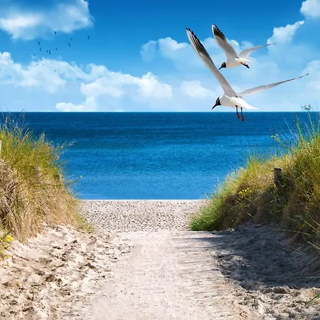 בית נופש 2 Sea C 17 Großenbrode